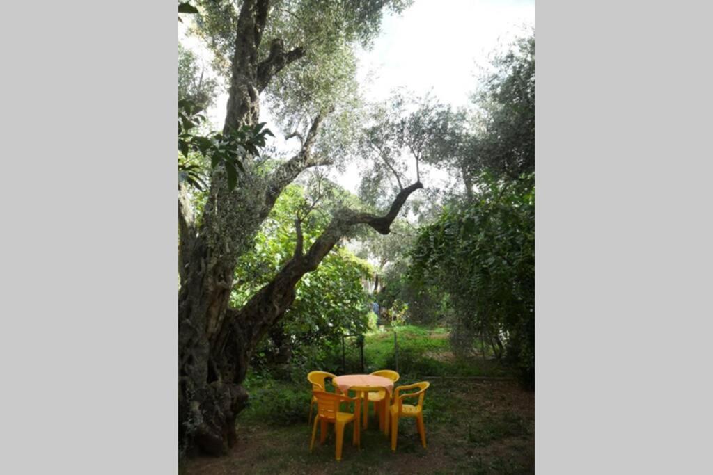 Bmv Room For 2-3 With Greenery View Sveti Stefan Exterior foto